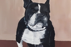 Französische Bulldogge (Öl, 750.- CHF Verkauft, Gemalt im Auftrag)